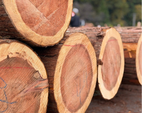 Sample Request