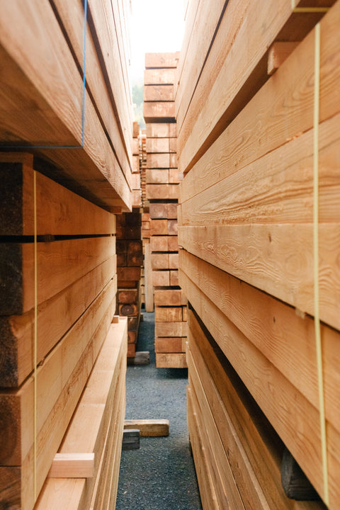 Western Red Cedar vs Sugi (Japanese Cedar)